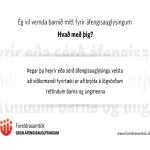 fsga_skjaaugl fsga_skjaaugl